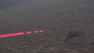 A Sneak Peak Into Mike’s 2022 WV Deer Season!