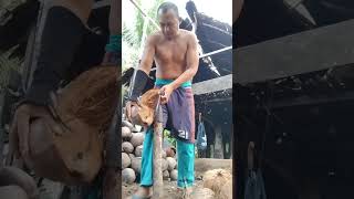 Download lagu Ngegas dulu bang | Kupas Kelapa #coconut #kelapa #buah #petani #kopra #panen mp3 Download lagu Ngegas dulu bang | Kupas Kelapa #coconut #kelapa #buah #petani #kopra #panen mp3