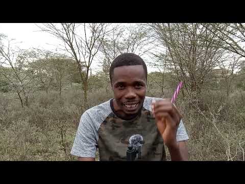 Digital ID Storm, Hidden Details.