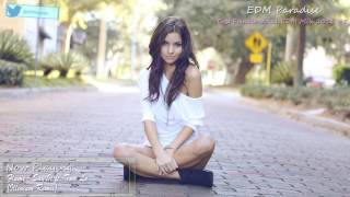 Best Female Vocal EDM Mix 2016 #5 【1 HOUR】