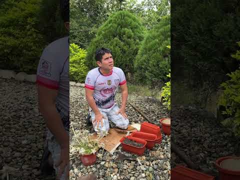 Rude girl disrespects her dad #viralvideo #family #shortvideo #reallife #shorts