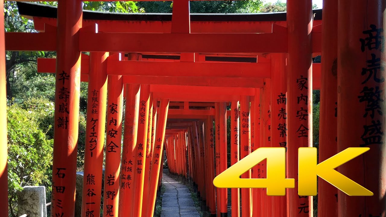 Nezu-Jinja Shrine - Tokyo