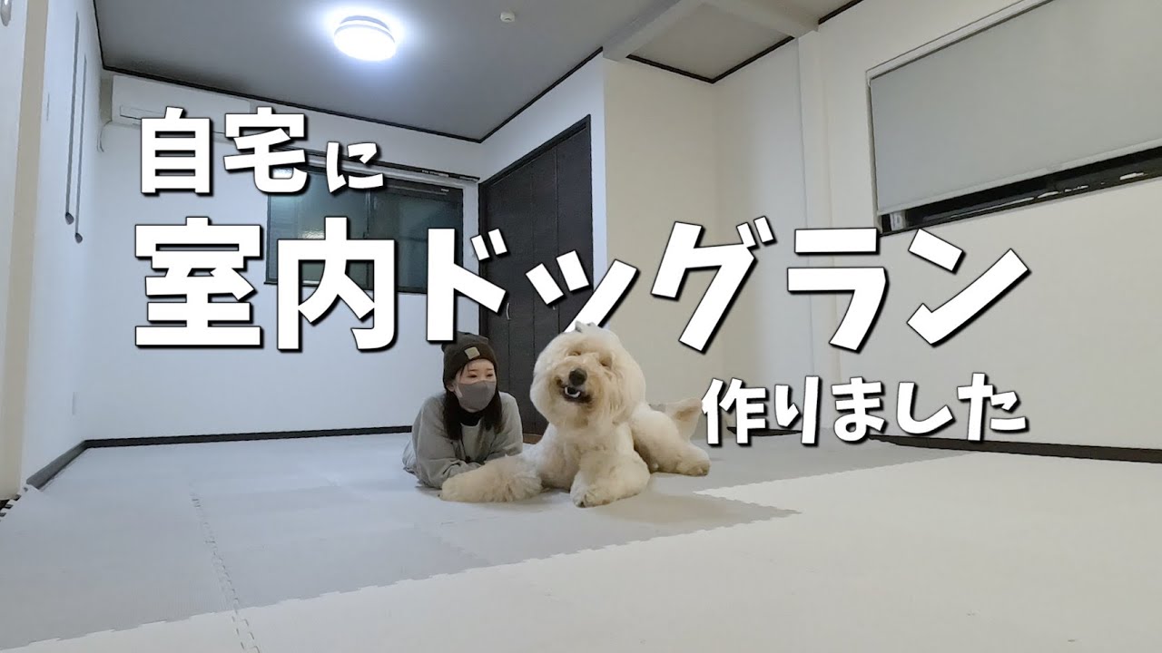 愛犬のために自宅に室内ドッグランを作りました！