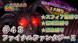FFⅩ 登録者1000人達成記念 43 縛り【ネタバレあり】