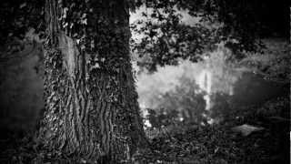 Lost In The Trees - Red