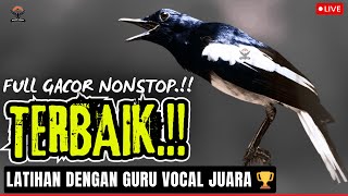 Download lagu MASTERAN PALING DICARI KACER JUARA 🏆 SUARA KACER GACOR NGEPLONG, ISIAN RAPAT & POWERFUL! mp3 Download lagu MASTERAN PALING DICARI KACER JUARA 🏆 SUARA KACER GACOR NGEPLONG, ISIAN RAPAT & POWERFUL! mp3
