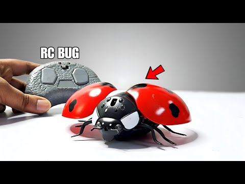 RC Realistic Gubraila Prank Gadget Unbxoxing & Testing