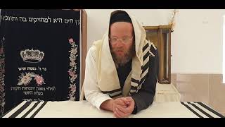 הלכה יומית | ברכה על ראיית הנילוס, ובשורה טובה | הרב צבי חלמיש שליט"א