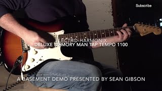 Video thumbnail for EHX - Deluxe Memory Man with Tap Tempo 1100 (Delay) by Sean Gibson