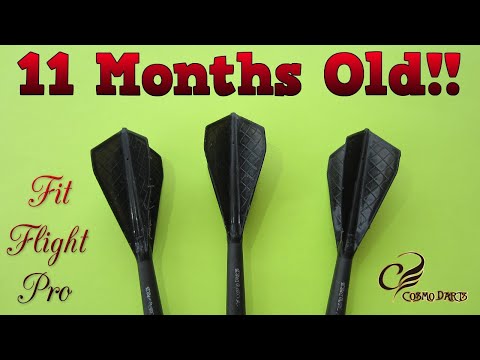 11 Month Old Dart Flights - Final Update On The Cosmo Fit Flight Pro