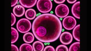 TEDxLondon - Scott Snibbe