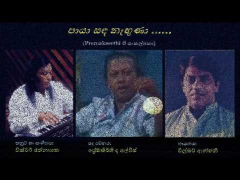 Paaya Sanda Naguna - පායා සඳ නැඟුණා