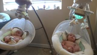 Snugabunny and My Little Lamb Cradle 'n Swing 3 Month Old Twins Wyatt and Jasper
