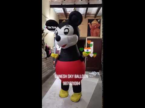 Mickey Mouse Costume