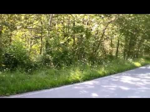 6° rally Day 12 Ore del Ciocco R. Marchetti - J. Parducci Rover MG ZR 105 A5