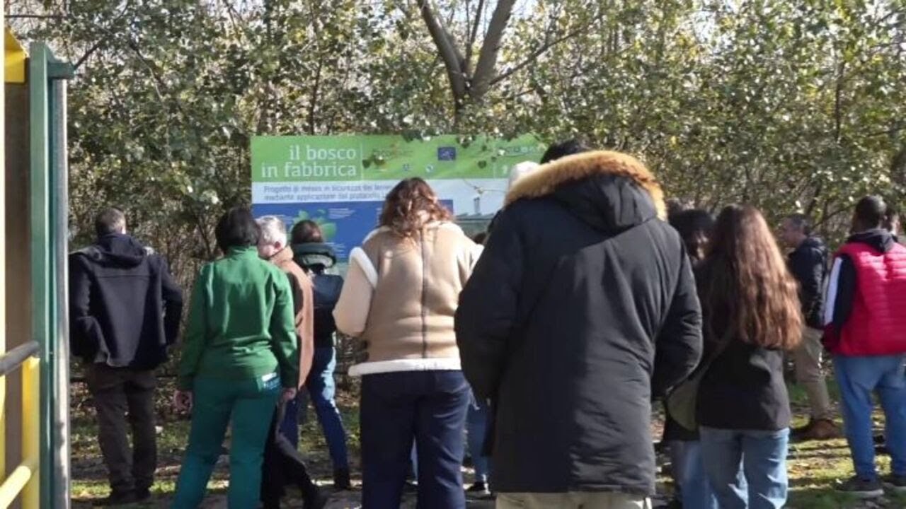 A Marcianise svolta green Haiki Metals, Pietro Colucci "10 mln di investimenti"