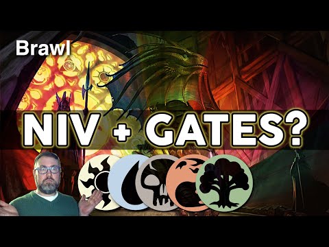 DO NOT do what I did! 🌈🐲 Niv-Mizzet Guildpact Guild Gates Brawl Deck