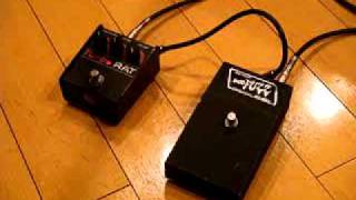 Video thumbnail for Proco Turbo Rat , Shaftesbury Duo Fuzz by effeken