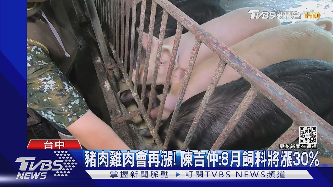 豬肉雞肉會再漲! 陳吉仲:8月飼料將漲30%