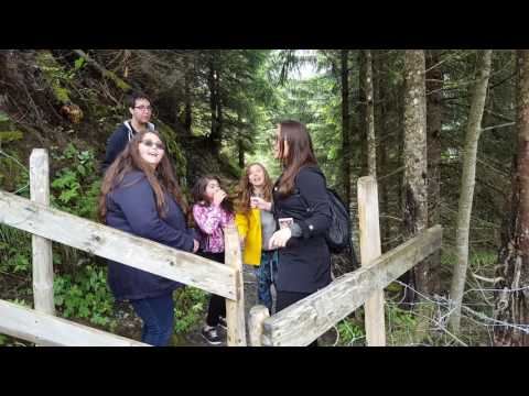 Jam session in Swiss Alps be like...