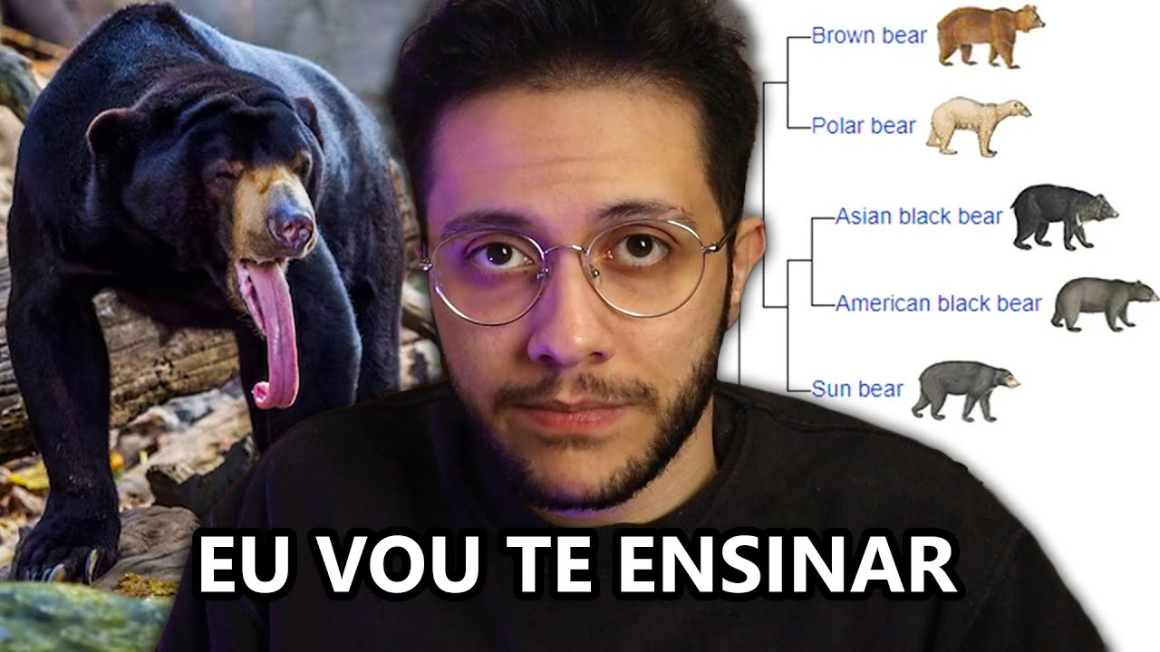 Você não sabe nada sobre ursos?