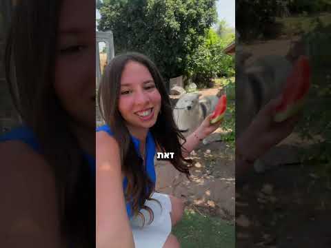 תנחשו כמה פעמים אמרתי אבטיח בסרטון? 🍉🤫