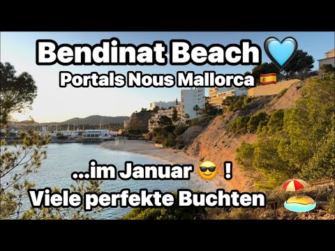 Portals Nous 🩵 Bendinat Beach 🌴 Mallorca 🇪🇸 Amazing places & beaches 🏖️ January glorious 19° ☀️ m...