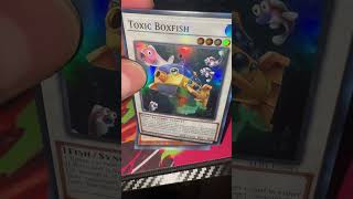 Yu-Gi-Oh! Alliance Insight #2026short #yugioh #allianceinsight #fypシ #tradingcards #shonenjump