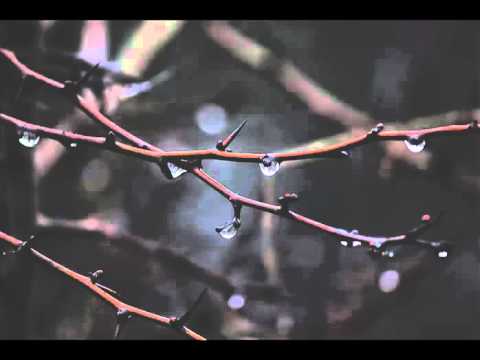 bartlett bros vs mazza   satellite of love ronski speed remix