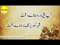 aap-biitii zaraa sunaa ai dasht