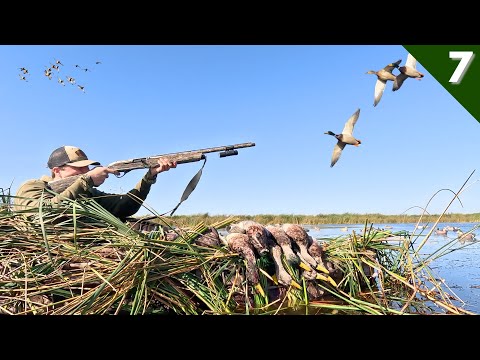 Decoying MALLARDS In TIGHT Out Of The Kayak | Duck Hunting 2025