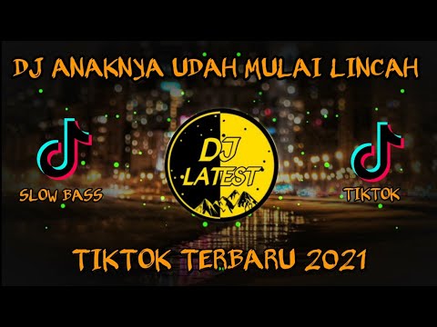 DJ ANAKNYA MULAI LINCAH YAH BUN!( PT BARIKA )VIRAL TIKTOK TERBARU🎶