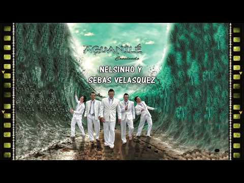 Me Enamoré De Ti, Aguanilé Salsa - Lyrics