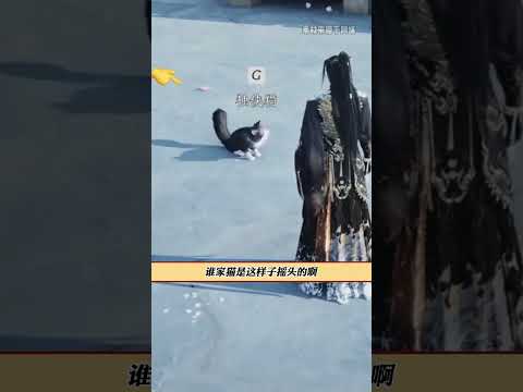 黑白配色摇头晃脑吗？那很乖了 #猫中哈士奇 #奶牛猫 #燕云十六声 #抽象 #万万没想到