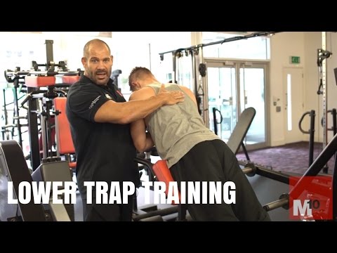Training the lower traps