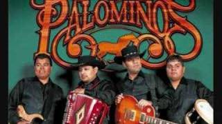 Los Palominos Chords