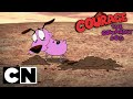 Courage The Cowardly Dog The Magic Tree Of Nowhere