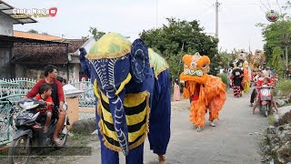 Download lagu KOPI DANGDUT ~ TAINI ~ BUROK DANGDUT CINTA NADA BUDAYA SHOW DUKUH WANGON 15/07/2022 mp3