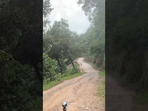 Salija Purulha Baja Verapaz