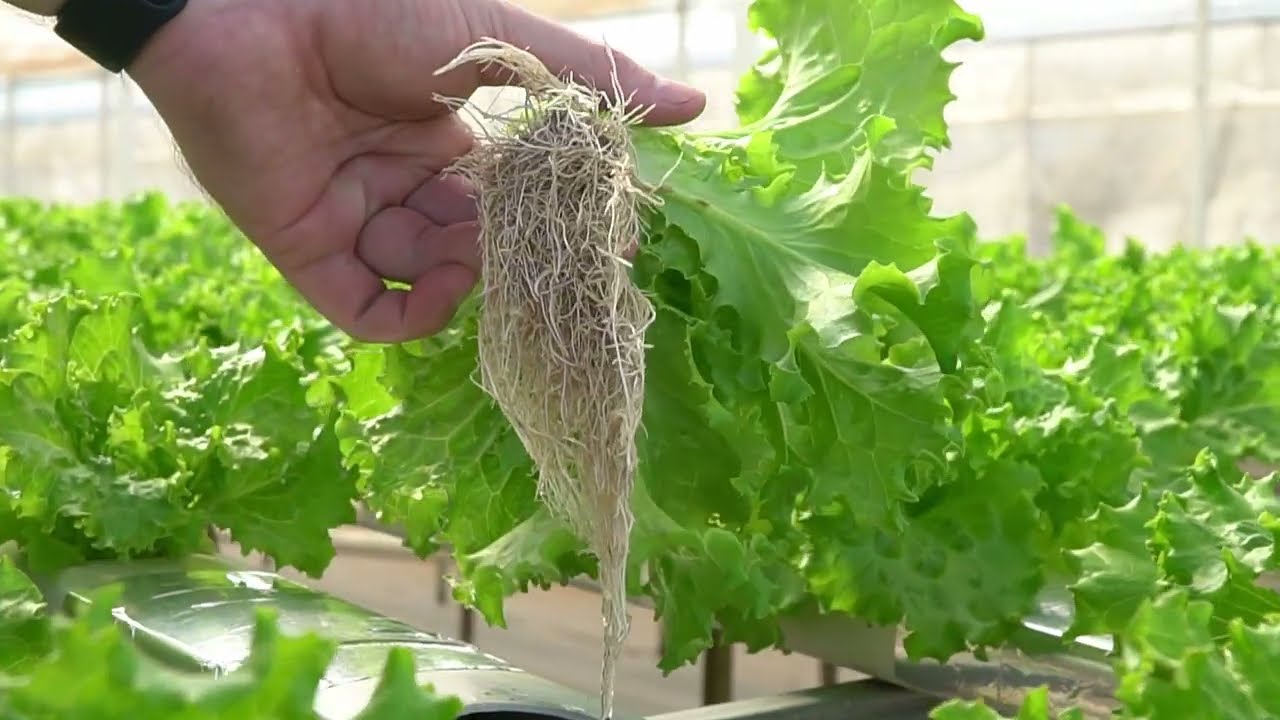 Video Institucional Hidrobio Paraguay - Agencia Maite Media