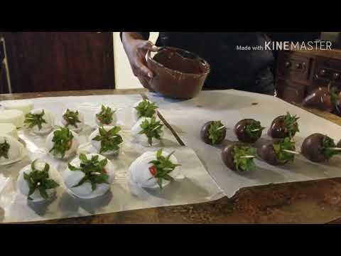 Chocolate Covered Strawberries