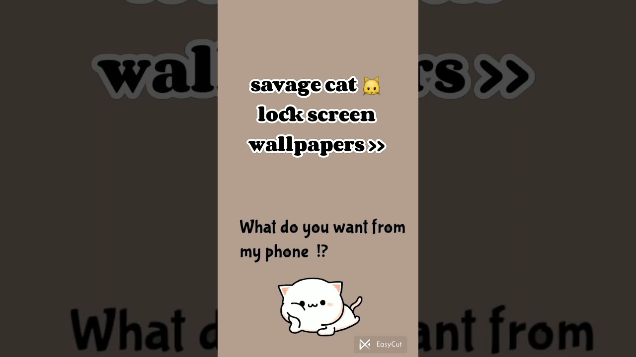 savage cat lock screen wallpapers cute cat wallpapers #cat #aesthetic #wallpaper #shorts #viral