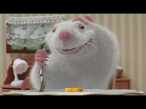 Thai Health Promotion Foundation – The Experimental