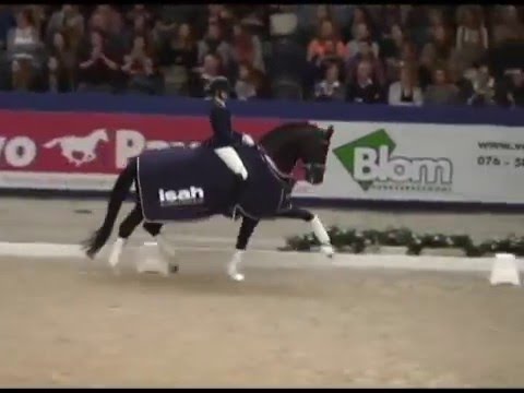 Glock's Toto Jr. 2016 KWPN Stallion Show