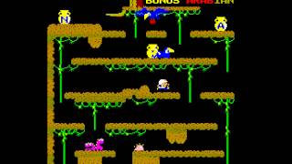 Arcade Game: Arabian (1983 Sun Electronics)