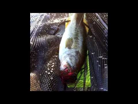 EVERYMAN: A Blog Series for Affordable Fishing Gear