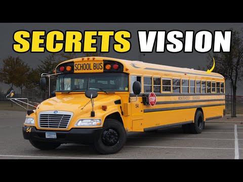 How the Blue Bird Vision Saved Its Company (When Everyone Else Walked Away)