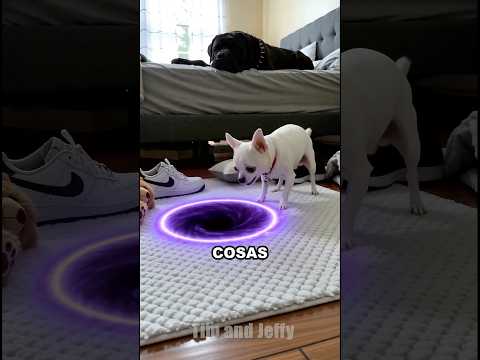 Perrito vs AGUJERO NEGRO 😱