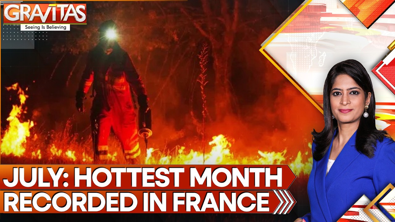 Greek Village Counts Scars From Wildfire | WION Gravitas