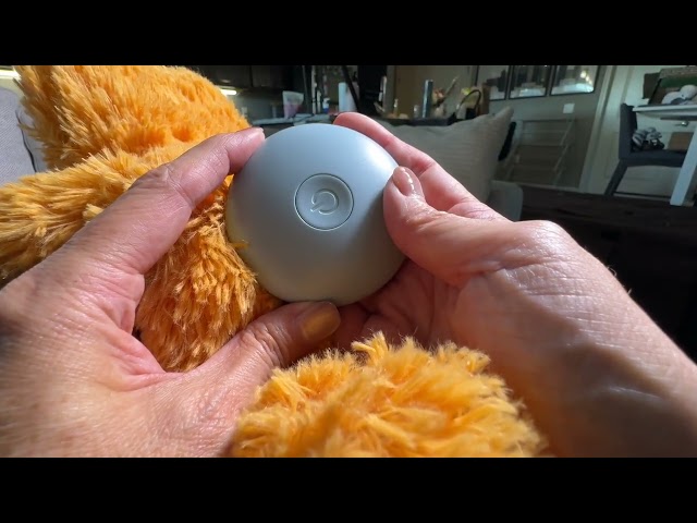 Vídeo relacionado con Heartbeat Simulator For Dogs - Battery Operated Dog Soother Machine, Heartbeat Replacement Soother, Sleep, Calming, Separation Relief, Comfort, Behavioral Training, Plush Stuffed Animal, Puppy